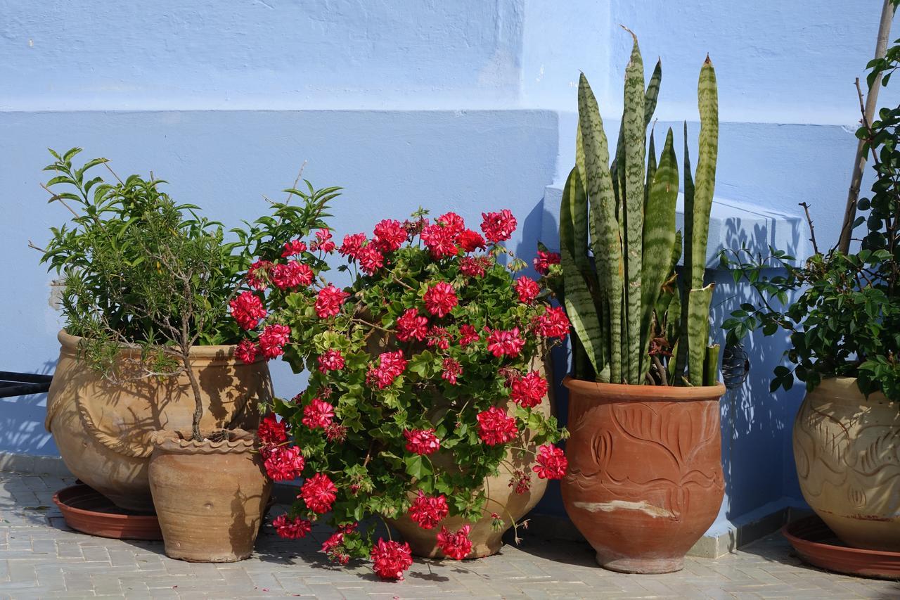 Dar Candal Asilah Dış mekan fotoğraf